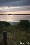 National Park de Biesbosch