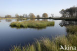 Nationaal Park Dwingelderveld