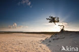 Nationaal Park Loonse en Drunense Duinen