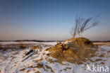 Nationaal Park Loonse en Drunense Duinen