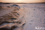 National Park Loonse en Drunense Duinen