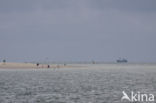 Texel