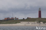 Texel