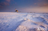 Lighthouse Het Paard van Marken