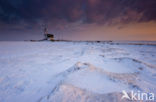 Lighthouse Het Paard van Marken