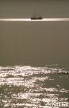 Waddensea