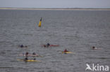 Waddensea