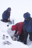 Hardangervidda National Park