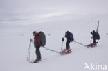 Hardangervidda National Park