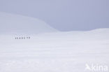 Hardangervidda National Park