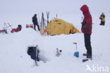 Hardangervidda National Park