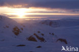 Hardangervidda National Park