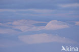 Hardangervidda National Park