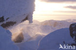 Hardangervidda National Park