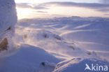 Hardangervidda National Park