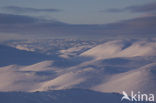 Hardangervidda National Park