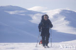 Hardangervidda National Park