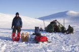 Hardangervidda National Park