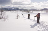 Hardangervidda National Park