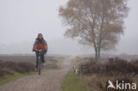 Hoorneboegse Heide