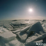 IJsselmeer