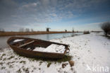 Kinderdijk