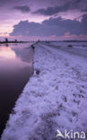 Kinderdijk