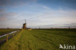 Kinderdijk