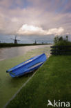 Kinderdijk