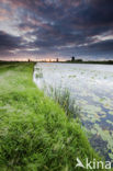 Kinderdijk