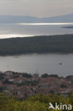 Kroatië