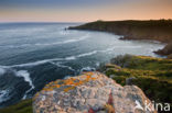 Lizard Lighthouse