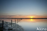 National Park de Biesbosch