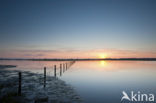 Nationaal Park de Biesbosch