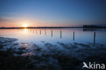 Nationaal Park de Biesbosch