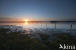 Nationaal Park de Biesbosch