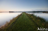 Nationaal Park de Biesbosch