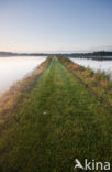 Nationaal Park de Biesbosch