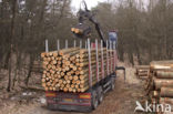 Nationaal Park Drents-Friese Wold