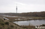 Natuurbrug Zanderij Crailo