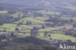 Parc naturel régional du Morvan