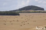 Parc naturel régional du Morvan