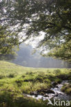 Parc naturel régional du Morvan