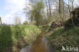 Poortbultenbeek