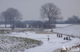 Rijswijkse waard