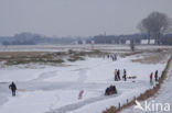 Rijswijkse waard