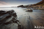 Trebarwith strand