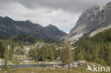 Triglav Nationaal Park