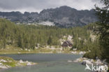 Triglav National Park