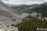 Triglav Nationaal Park